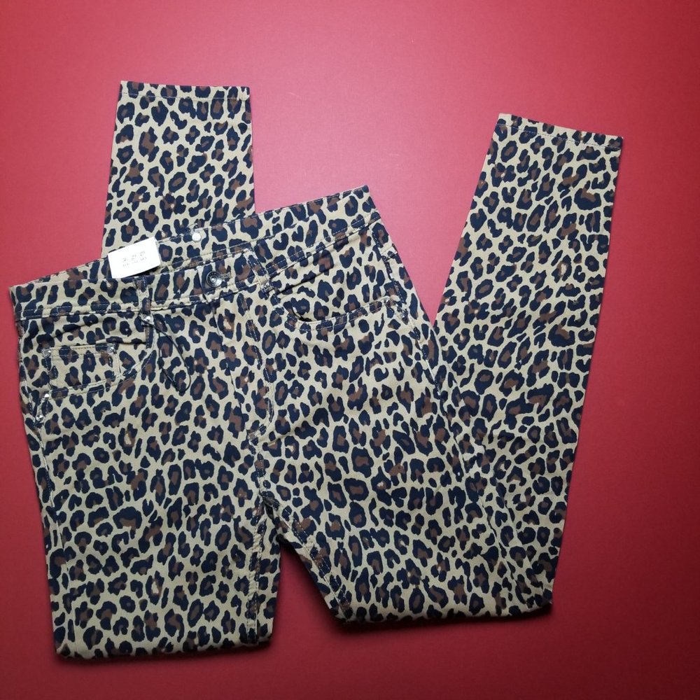 Zara Super Skinny Denim